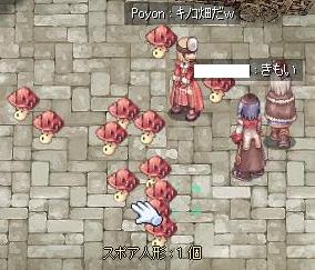キノコ天国