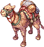 4_dst_camel