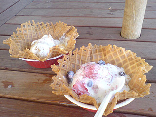 ファイル 29-1.jpg