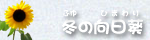 冬の向日葵のクラブサイトです。