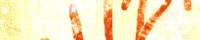 21121.jpg 600��800 107K