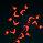 set_sa.png(1736 byte)