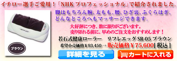 ��Ύ����N���[���[�@���t���G�b�O SR-05 �u���E��