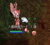 ˬ