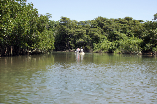 No.29 沖縄(石垣島)3