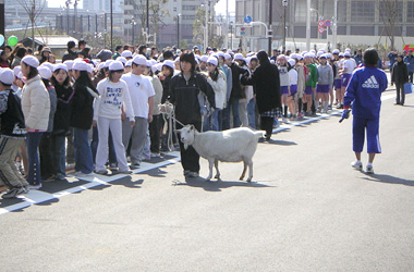 101_p6.jpg