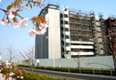 102_p1.jpg