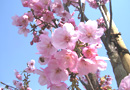102_p2.jpg