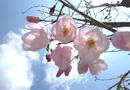 102_p4.jpg