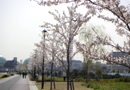 104_p1.jpg