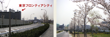 104_p3.jpg