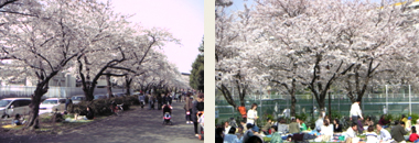 104_p5.jpg
