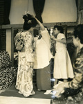 107_p6.jpg