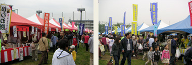 109_p2.jpg