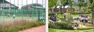 112_p4.jpg