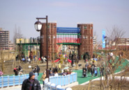 112_p6.jpg