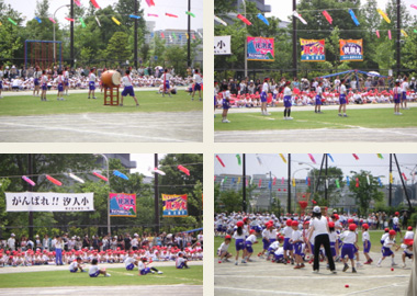 112_p7.jpg