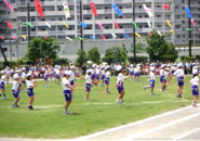 112_p8.jpg