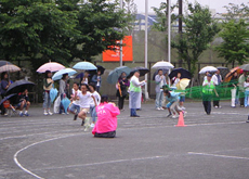 113_p2.jpg