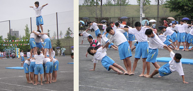113_p3.jpg