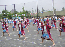 113_p4.jpg