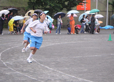 113_p5.jpg