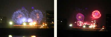 117_p3.jpg