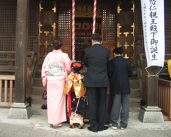 129_p4.jpg