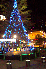 130_p2.jpg