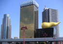 131_p1.jpg