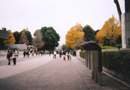 133_p1.jpg