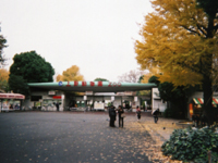 133_p3.jpg