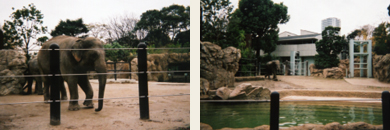 133_p6.jpg