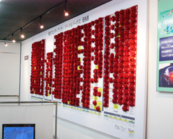 135_p5.jpg