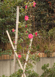 94_p2.jpg