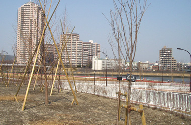 95_p4.jpg