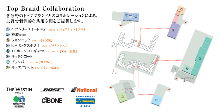 Top Brand Collaoration