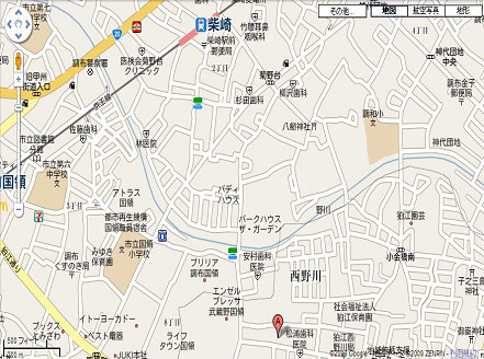 Google Map