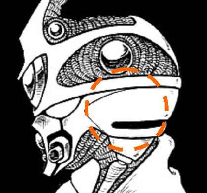 ���j�b�g�̓������o�튯�����}