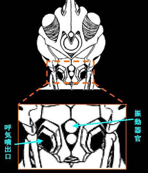 ���o���ʂ̔���