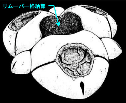 リムーバーの格納状態庫