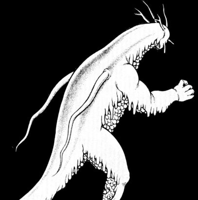 �i���N�W�̂悤�ȃ]�A�m�C�h